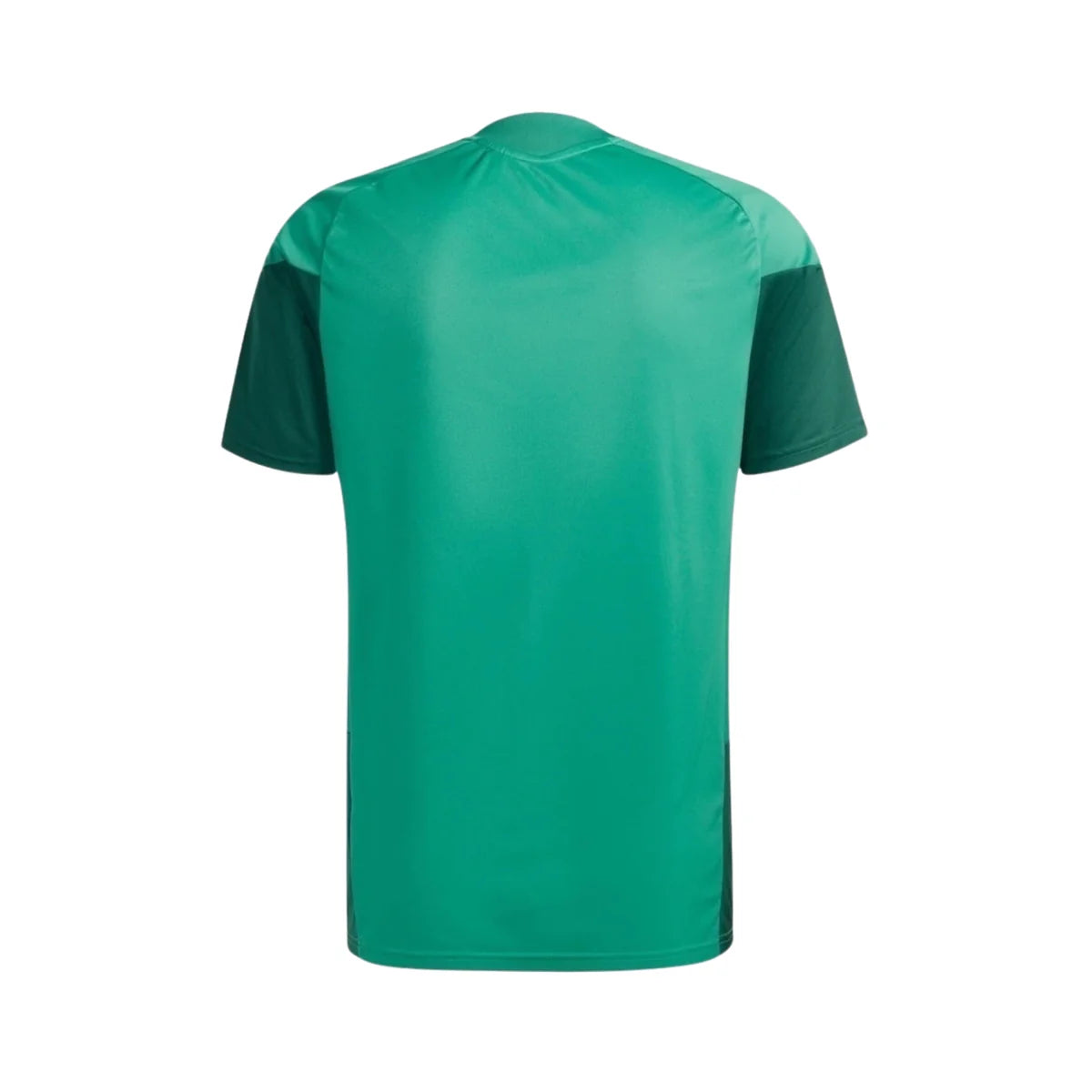 Maillot Algérie Entraînement 26/27 - Coupe du Monde 2026 - Vert